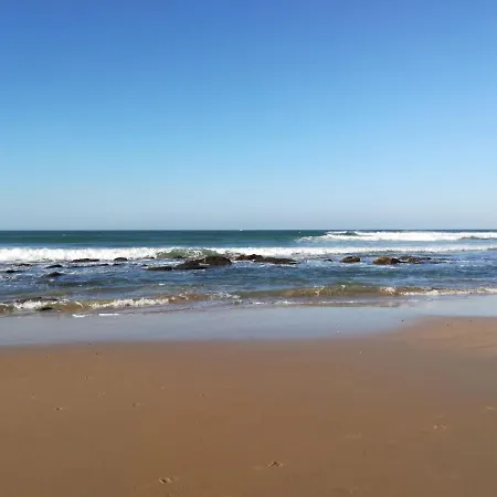 Aptº Jabega 